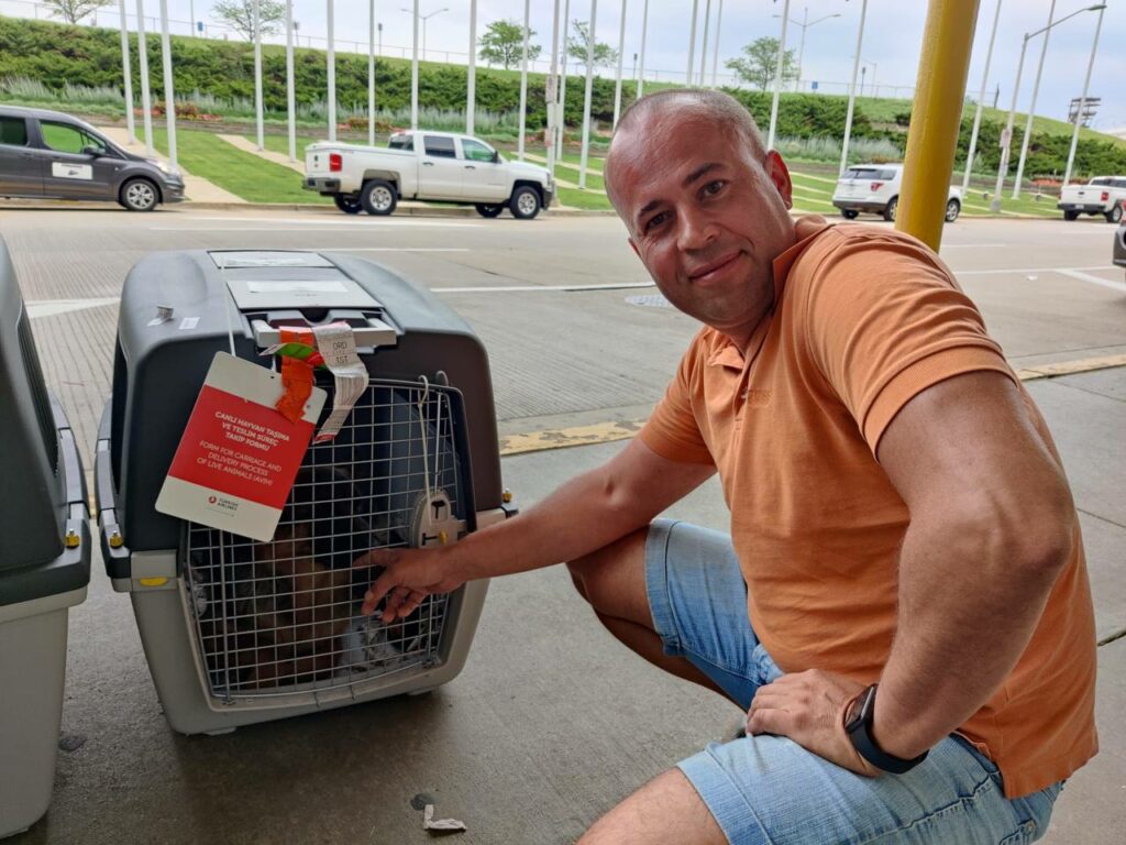 The Importance of Airflow Control for Pets During Travel